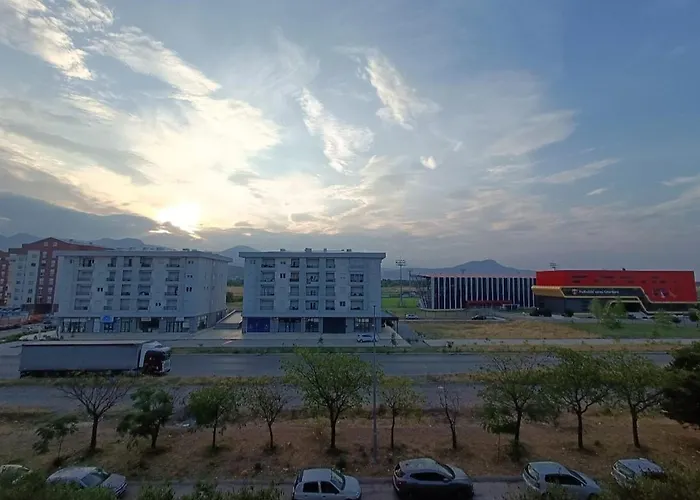 Obilex
